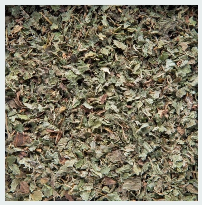 Raspberry Leaf | Powder or Whole Herb – 1oz / 4oz / 8oz | Women’s Wellness Aid