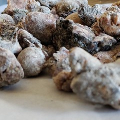 Hardened Piñon Tree Sap/Resin/Pitch from Lincoln co New Mexico 2oz