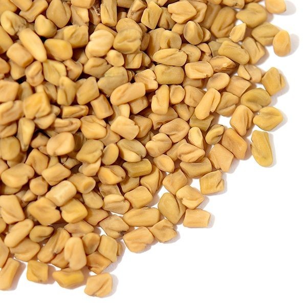 WholeSALE!! ORGANIC Fenugreek Seed PREMIUM Dried Whole-4 oz, 1 lb.