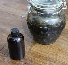 Black Walnut Extract 4 oz Organic Juglans nigra Ripe Green Hulls Tincture