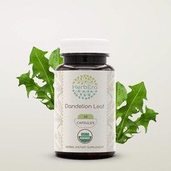 HerbEra Dandelion Leaf 60/120 Capsules, 500 mg, Organic (Taraxacum Officinale)