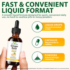 Ginger Root Extract Drops – Immune & Digestive Support Liquid Ginger Supplement