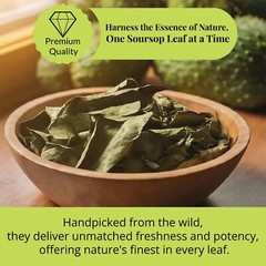 200+ Dried Soursop Leaves , Hojas De Guanabana, Soursop Leaf Tea, 2.6oz