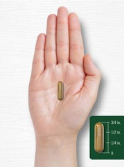 Ceylon Cinnamon Complex with Gymnema and Mulberry | 150 Capsules | by Carlyle