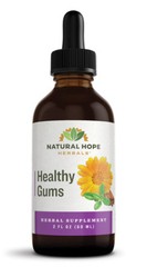 HEALTHY GUMS – 10 Herb Teeth & Gum Health Oral Tincture Peppermint Rinse USA