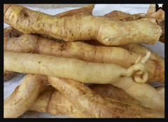 Tong_kat A_li Root Dried Eurycoma longi_folia Jack Organic Tracking NO