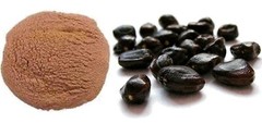 Tamarind Beej Powder Imli Seed Churna Tamarindus indica 60g to 2Kg Free Ship