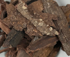 Mexican Miracle Tree Mimosa Whole Bark (Tepez) Fresh Batch