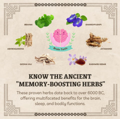 Wisdom+ Memory Enhancing Natural Herbs Cognitive Stress Reduct 50GM/1.76oz