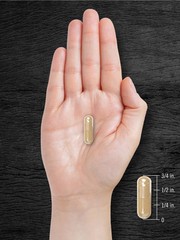 Pygeum 1300mg | 240 Capsules | Non-GMO & Gluten Free Bark Extract | by Carlyle