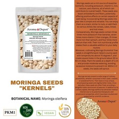 1lb Moringa oleifera Leaf Powder 100% Pure Natural Superfood Gluten Free