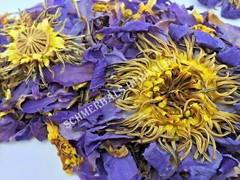 1 kg Blue Lotus, N. caerulea, Siamese Dream™ Whole ~ Schmerbals Herbals