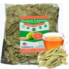 Dried whole Guava leaves Hojas de guayaba Natural Guava leaves Tea, Gabiogreen