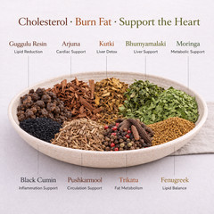 Cholesterol Lowering Formula #14