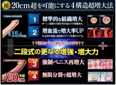 Tokyo Super BIG Premium JAPAN (120 pills) vs Super Big Thick Premium (120 Pills)