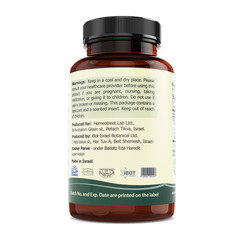 Helicobacter Pylori Professional Organic Treatment 60 Capsules | KOSHER
