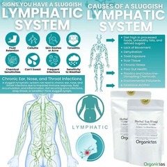 Natural LYMPH TEA REMEDY – Lymphatic System, Lymph Nodes, Lymphatic Organs Detox