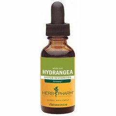 Hydrangea Extract 4 Oz By Herb Pharm