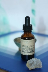 ANGELICA Tincture Analgesic Anxiety Move Congestion Phlegm ORGANIC FOLK Remedy