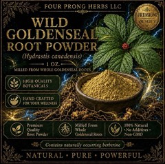 Wild Goldenseal Root Powder — 1 Oz. — Milled From Whole Goldenseal Roots
