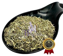 Speedwell Herb Herbal Tea 20g-1.9kg Veronica Officinalis L