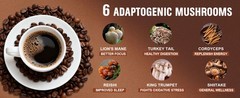 2 Bag Mushroom Coffee, Instant Mushroom Coffee Powder with 6 Adaptogenic