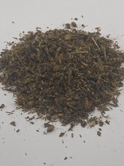 Calea Zacatechichi ~ Mexican Dream Herb 2 oz. ~ 1 kg.