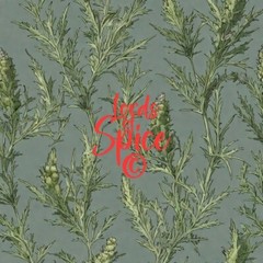 Wormwood Organic Dried Cut ~ Artemisia Absinthium ~ 100% Premium