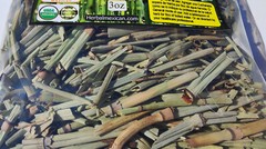 Horsetail,Shavegrass,Shave grass ,Field horsetail,Common horse tail,Equisetum !!
