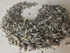 Echinacea, Echinacea angustifolia, 1 oz All Natural Root ~ Schmerbals Herbals