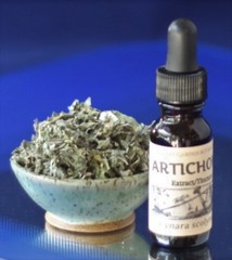 ARTICHOKE Tincture Bitter Digestion Liver Tonic Folk Remedy Extraction Wildcraft
