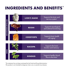 Host Defense MycoBotanicals Brain 60 Veg Capsules Fungi Perfecti