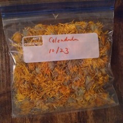 Organic Dried Calendula Marigold Flowers 100% Homegrown 1 Oz. 2023 Skincare Tea