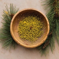 Pine Extract PINE POLLEN TINCTURE Suramin Shikimic Acid Pure USA