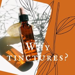 Mugwort Tincture | Organic Artemisia vulgaris | Parasite Cleanse | Small Batch