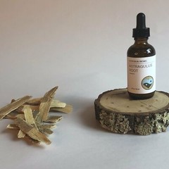 ASTRAGALUS ROOT – TINCTURE