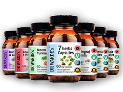 DR WAKDE’S Neem & Turmeric Capsules | 60 Veg Caps | Ayurvedic Supplement | Ve…