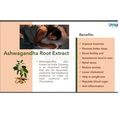 Pack of DYANCE ROCENTA X 1 Antioxidants, Blood Sugar Support