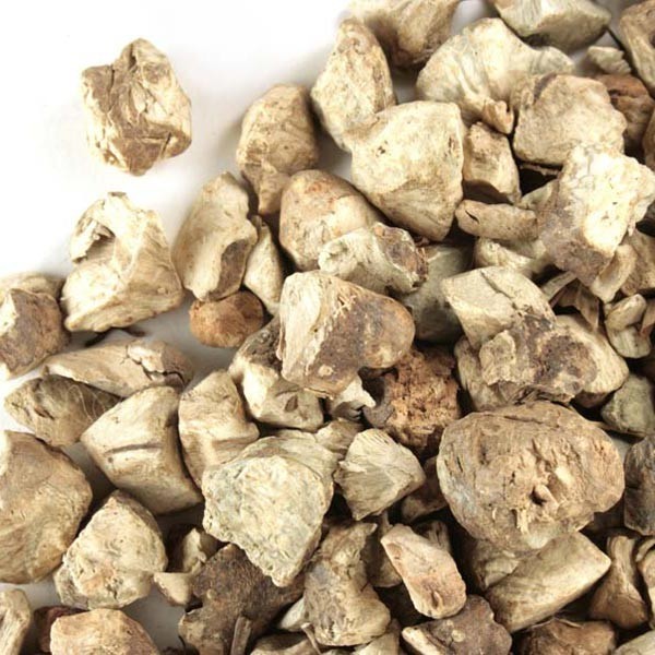 WholeSALE!! Wildcrafted Stone Root PREMIUM Dried Cut/Sifted-4 oz, 1 lb.