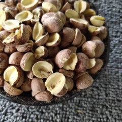 Greenlike Premium All Natural Dried Lotus Seeds 莲子 湘莲 开边莲子 开边湘莲12oz