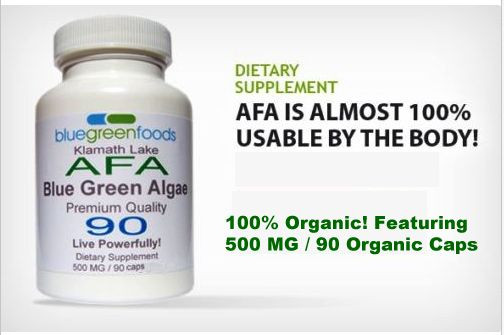 Organic Stem Cell Superfood Stem Cell Enhance 90 Certified Organic Capsules AFA