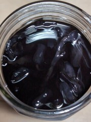 Ghost Pipe Tincture 60 mL All Natural Tinctured immediately after picking