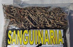 Sanguinaria Hierba Te, Blood root, Coon Root, Sanguinaria canadensis 4oz !!!