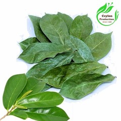 Dried Organic Soursop whole Leaves graviola,Annona muricata L Hojas de guanabana