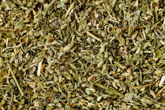 Wild Crafted Catnip Dried Cut ~ 16 oz. USA Free Ship