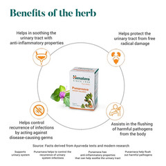 Himalaya PUNARNAVA For Urinary Wellness 60 Tablets – Pack of 3 + Free Ship