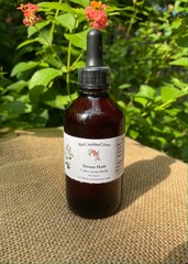 Dream Herb (Calea Zacatechichi) Tincture Herb Extract Double Extraction