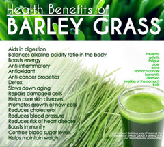 Barley Grass Powder Organic, USDA Certified, Green Vegan Superfood 17.6 OZ