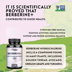 Berberine with Ceylon Cinnamon 1200mg-Heart&Sugar Health,Immune System Support