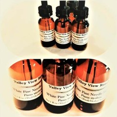 White Pine Needle Tincture/ ‘Pinus Strobus’/ Respiratory support / X-STRENGHT
